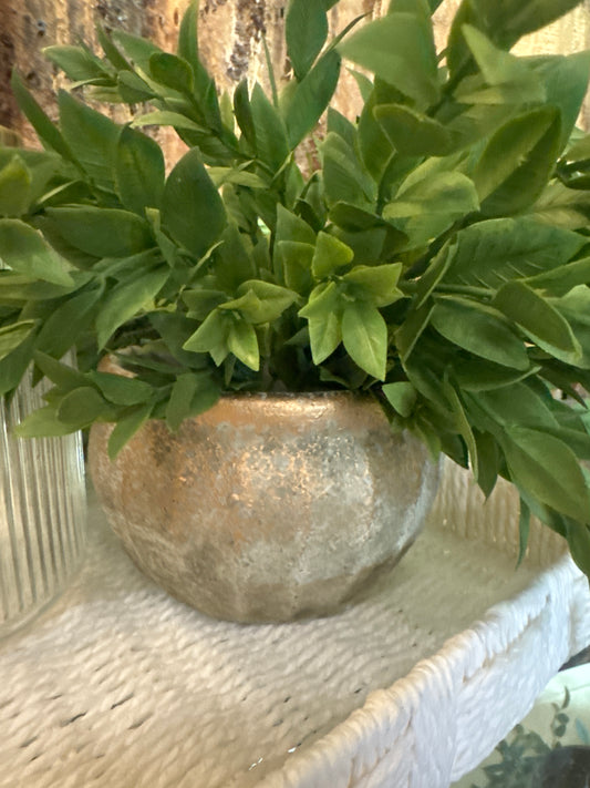 Small Gold Pot