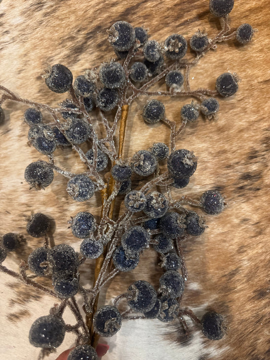 Frosted Blueberry Spray