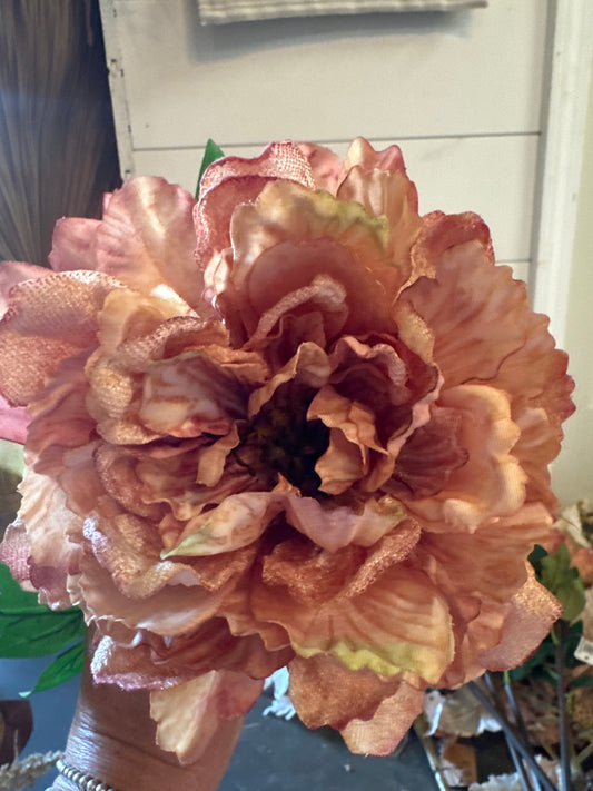 Dried Peony
