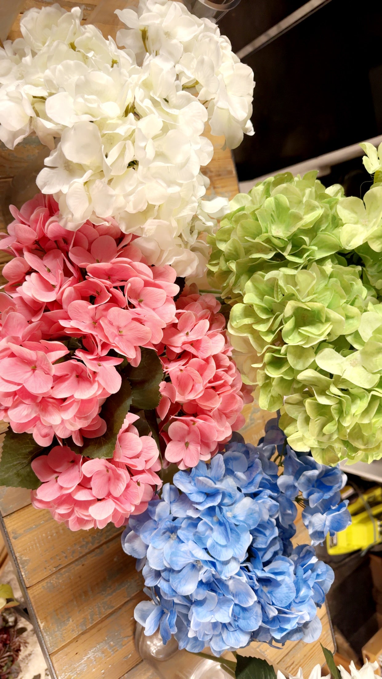 Single Stem Hydrangeas
