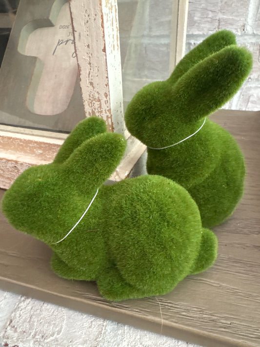 Small Moss Bunnies