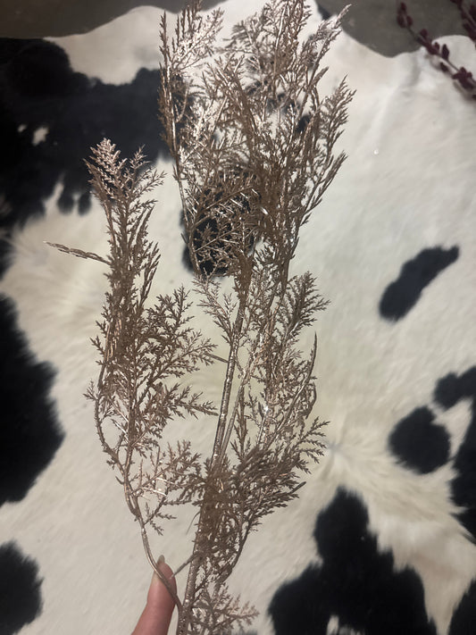 Cedar Champagne Stem