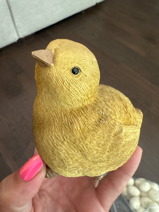 Yellow Chicks