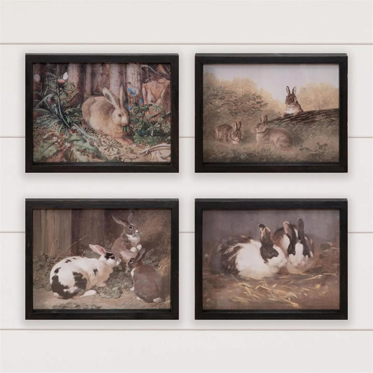 Antique Rabbit Frames