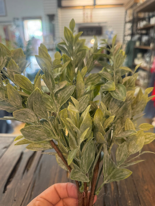 Set 3 Ash Leaf Bush