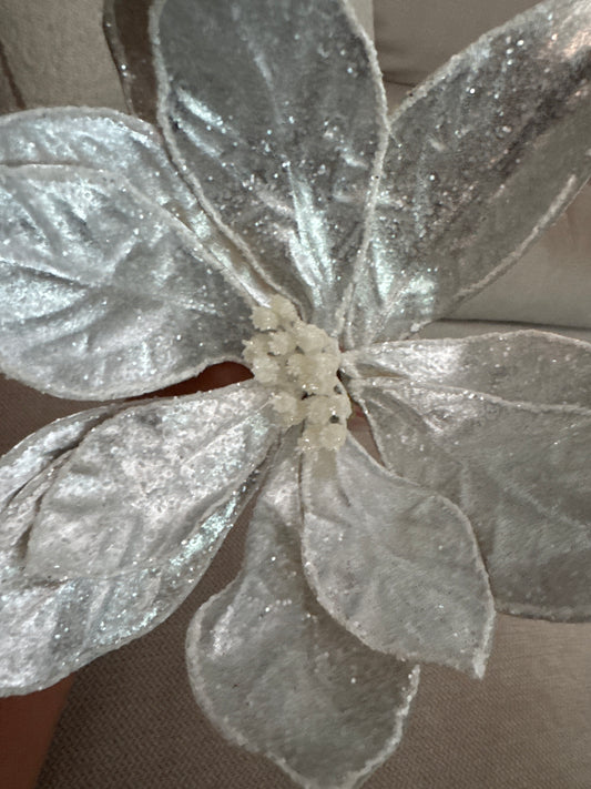 Silver Poinsettia