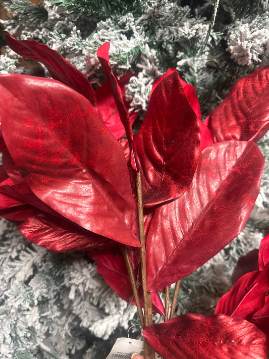 Red Magnolia Stem