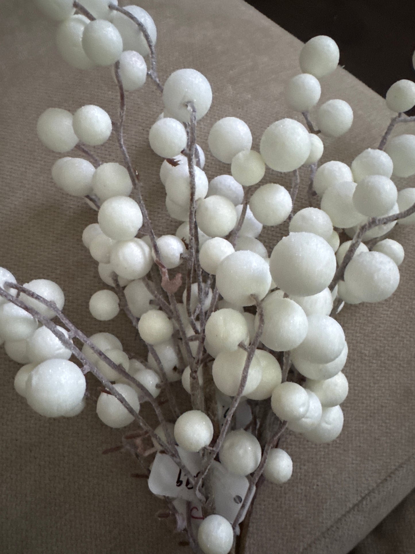 White Dot Stem