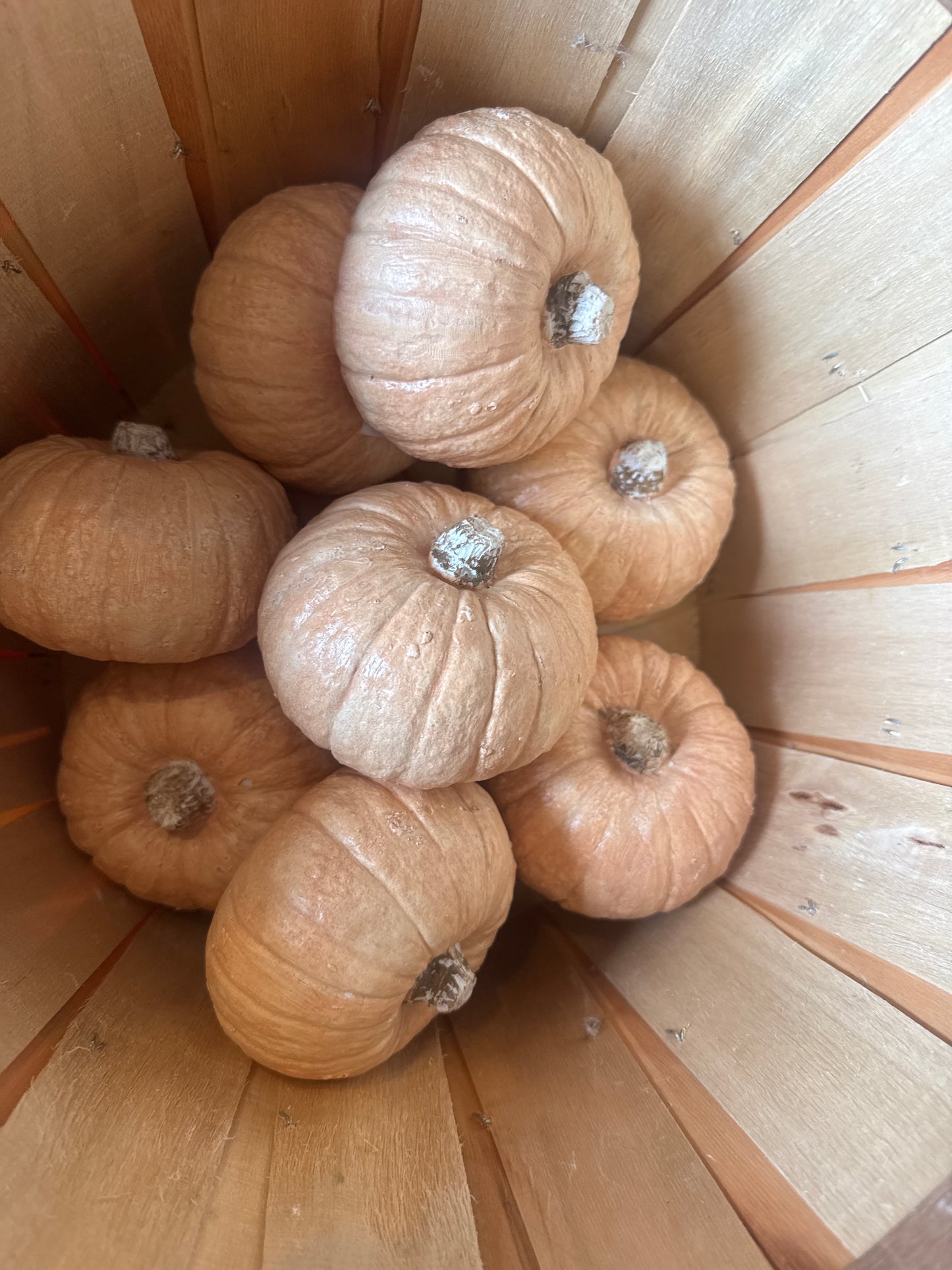 Light Orange Resin Pumpkin