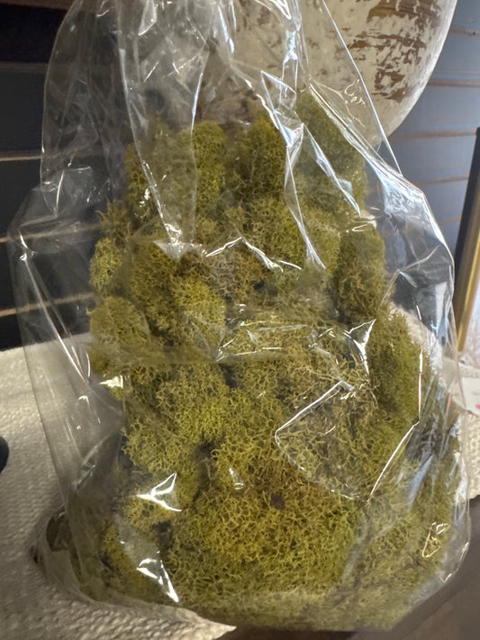 Bag of Light Green Moss