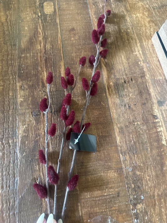 Burgundy Pussy Willow