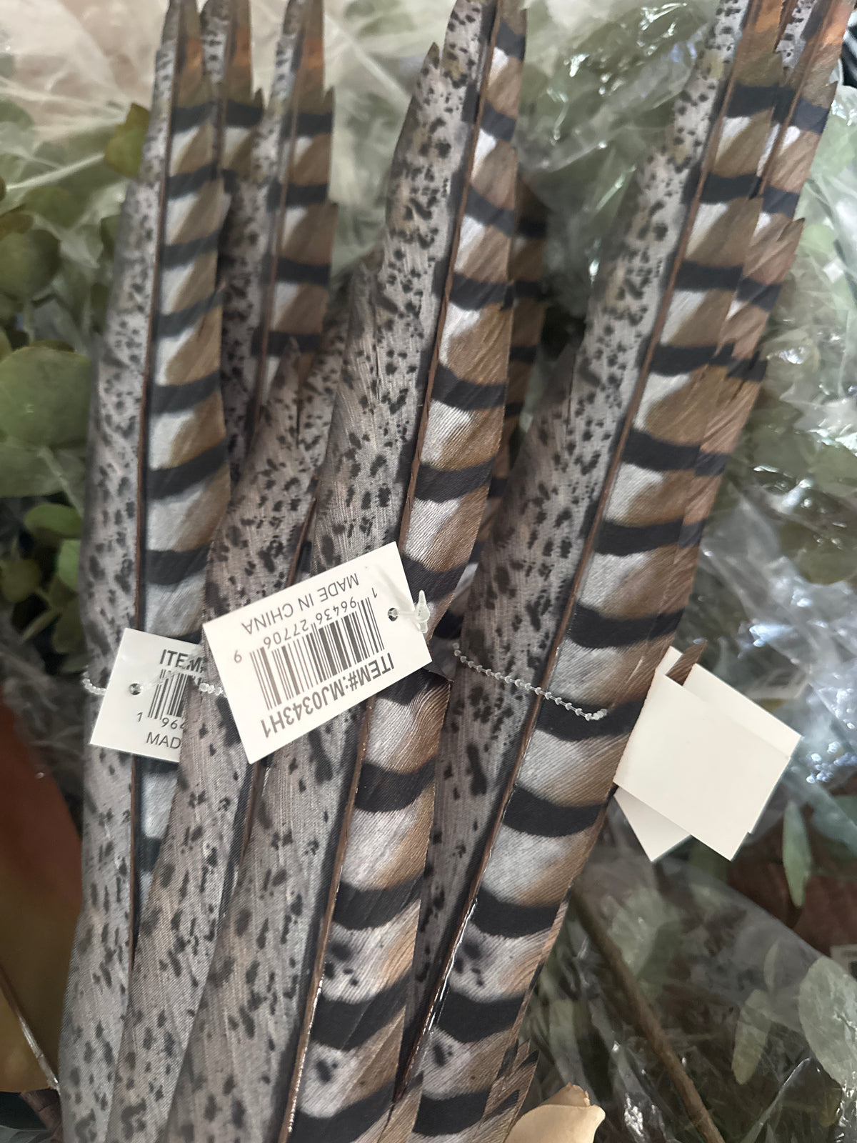 Pheasant Feather