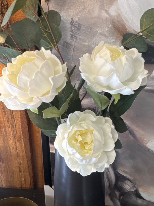 White Peony Stem