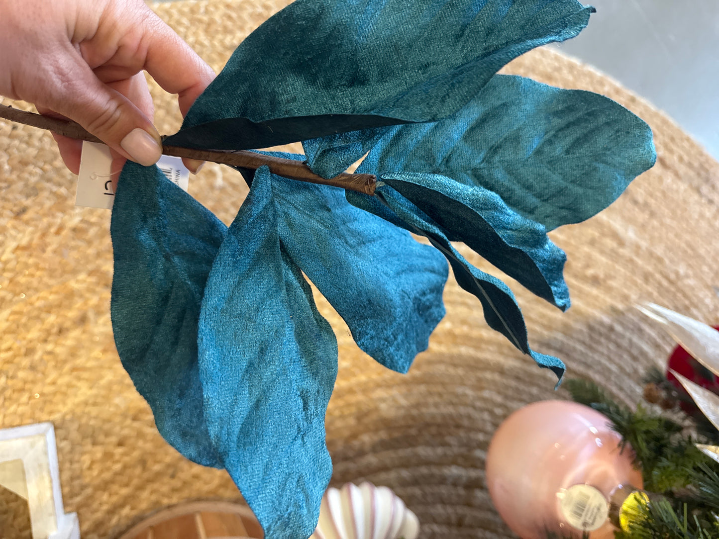 Blue Velvet Magnolia