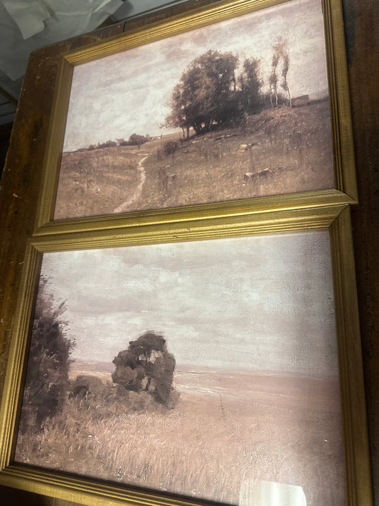 Framed Naturescape