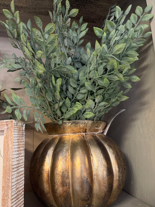 Green Ruscus Bush