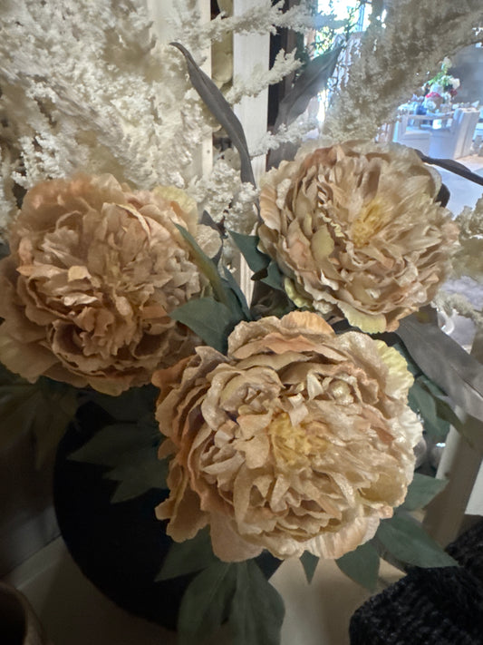 Dried Cream Peony