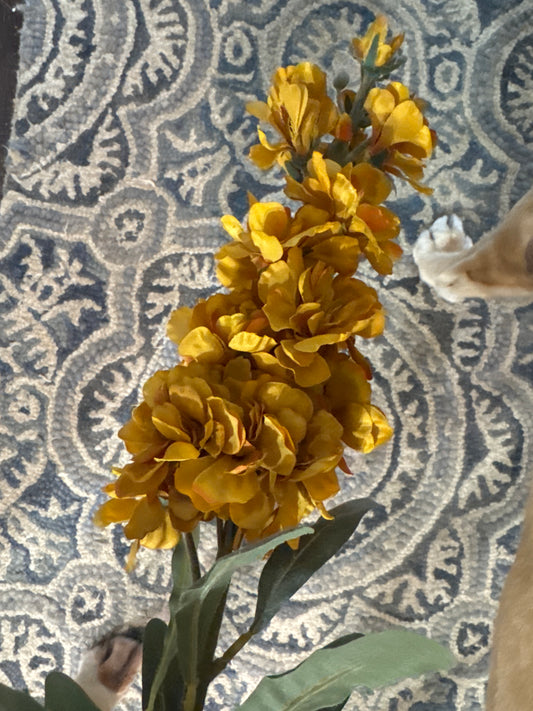 Golden Yellow Stock Stem