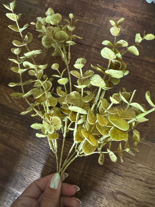 Yellow Euc
