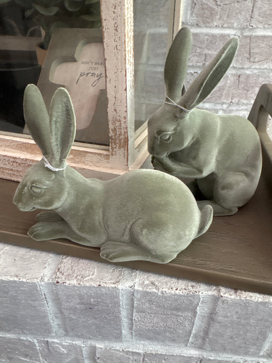 Sage Fuzzy Bunny