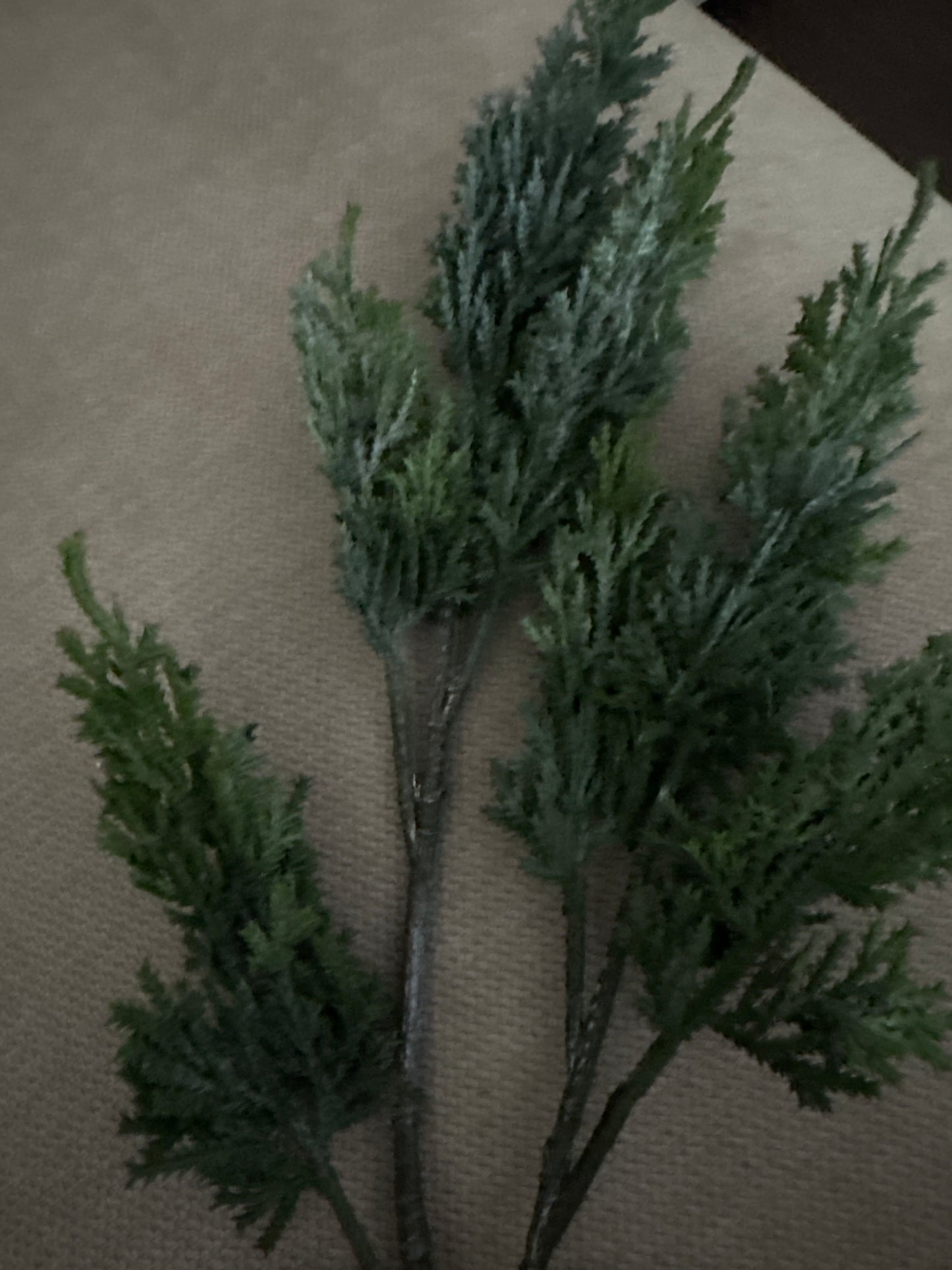 Ombré Cedar Stem