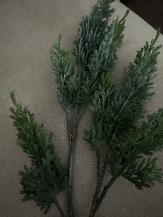 Ombré Cedar Stem