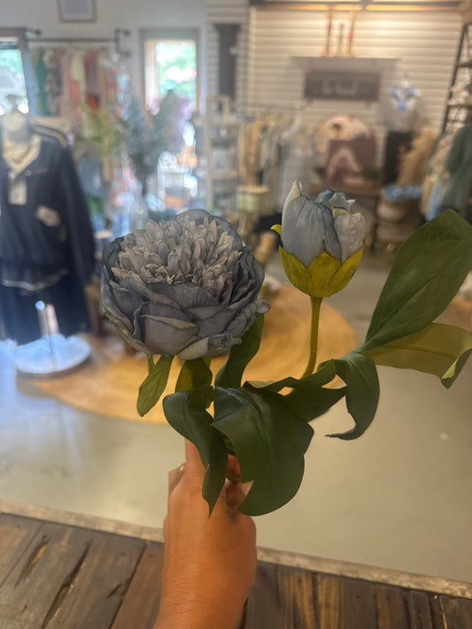 Dried Blue Stem