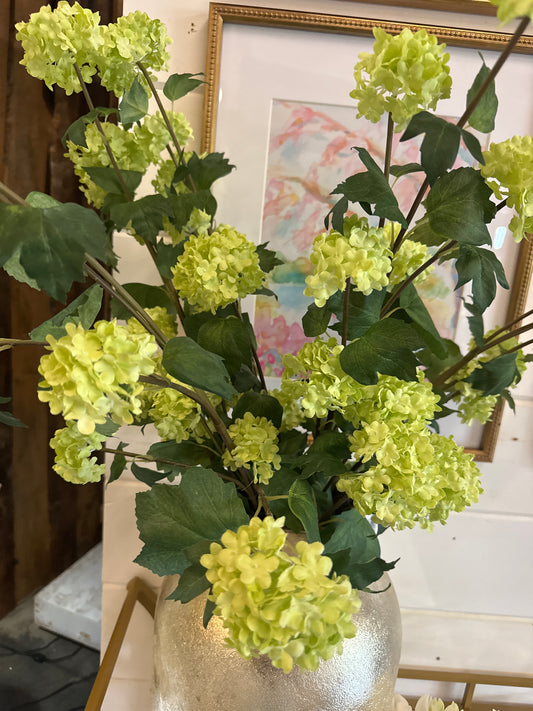 Lime Hydrangea Branch