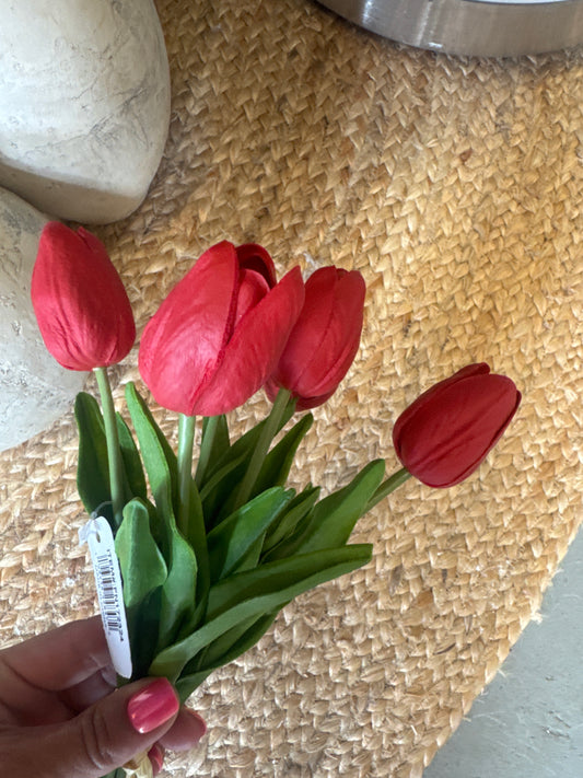 6 Red Tulips
