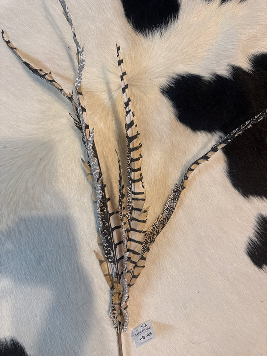 Long Feather