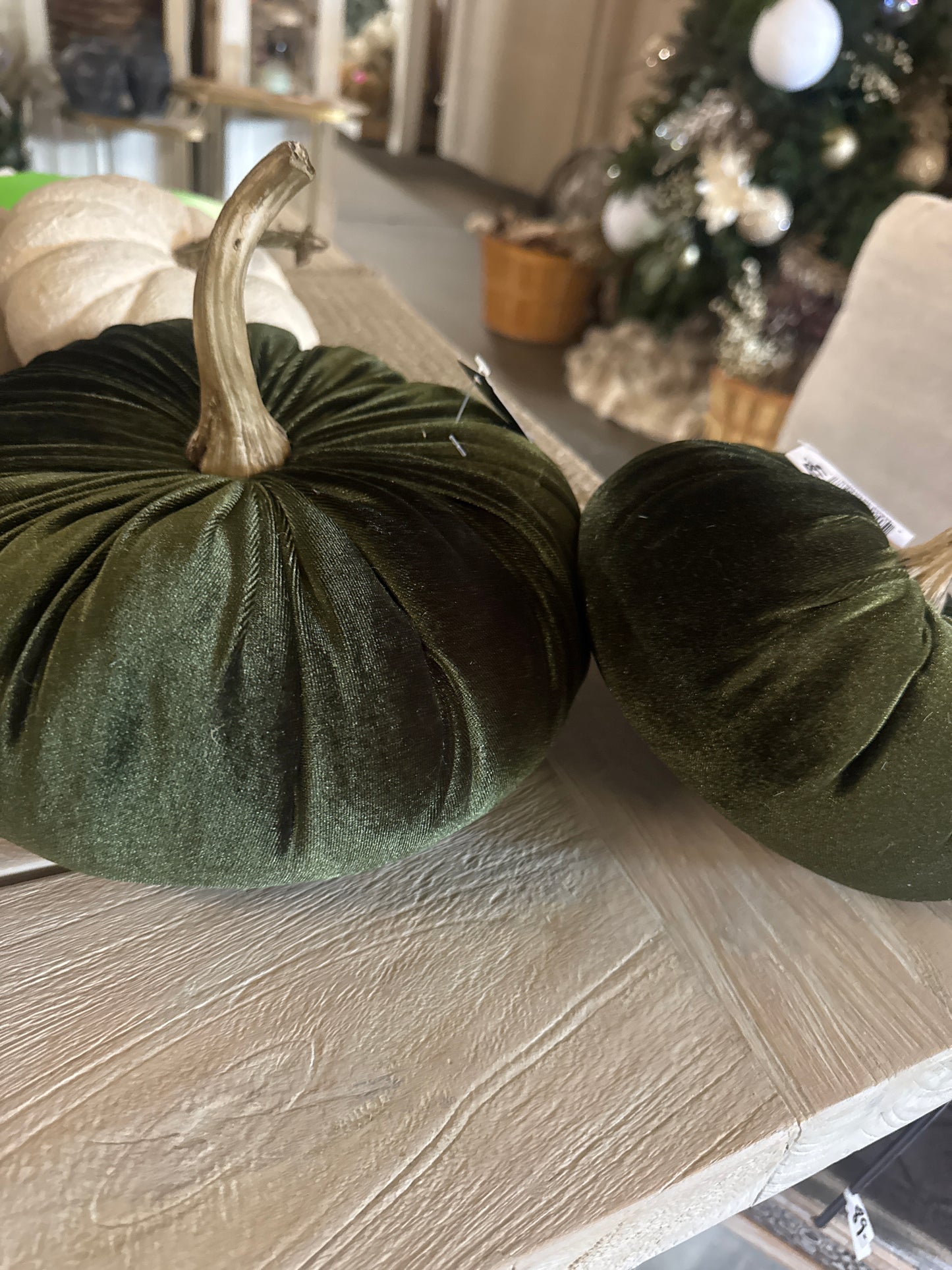 Hunter Velvet Pumpkin