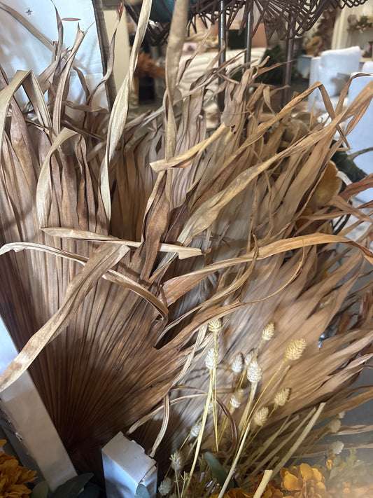 Brown Palms