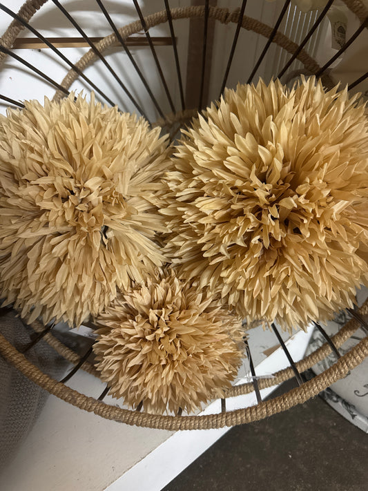 Dried Puff