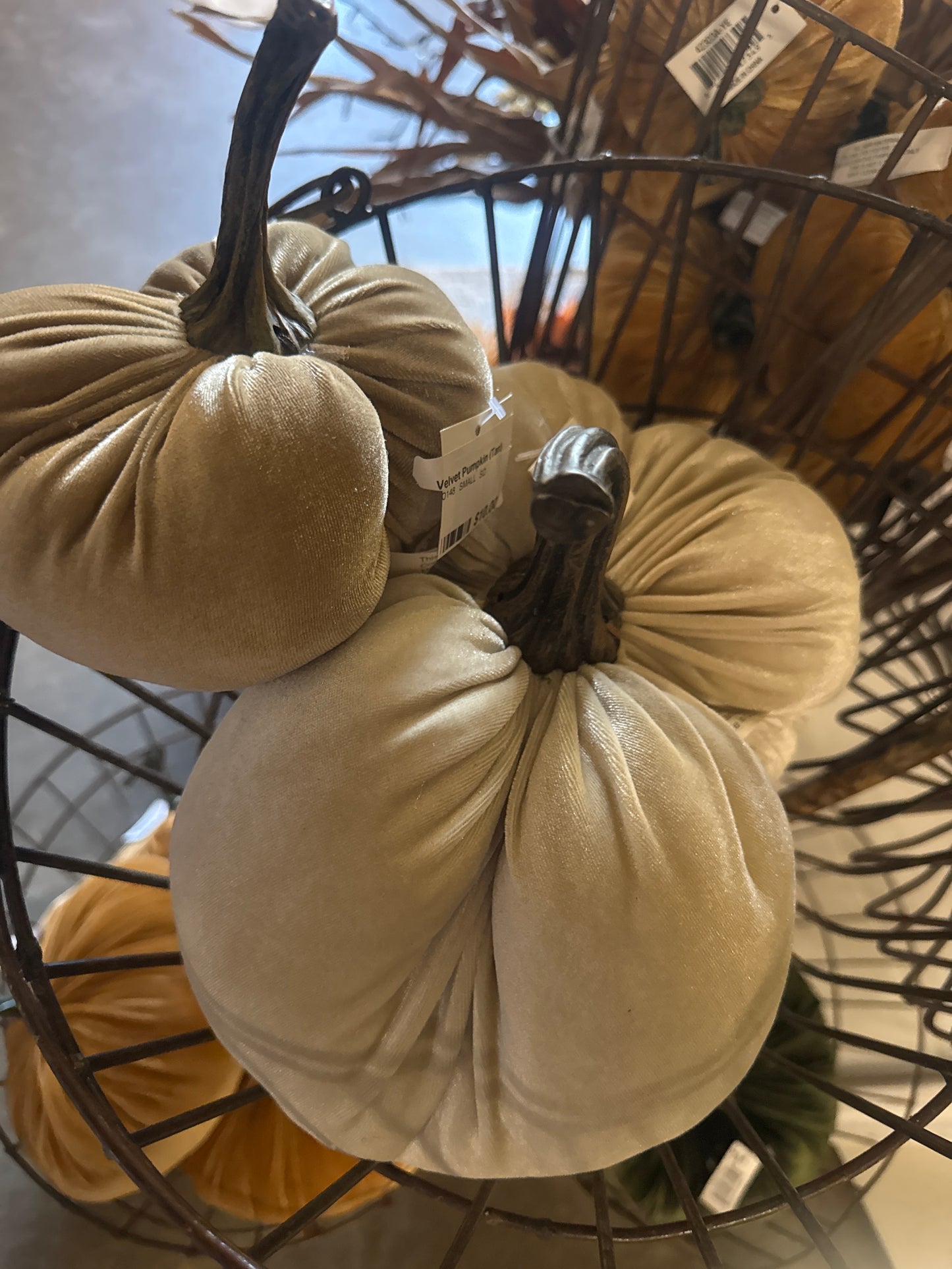 Tan Velvet Pumpkin