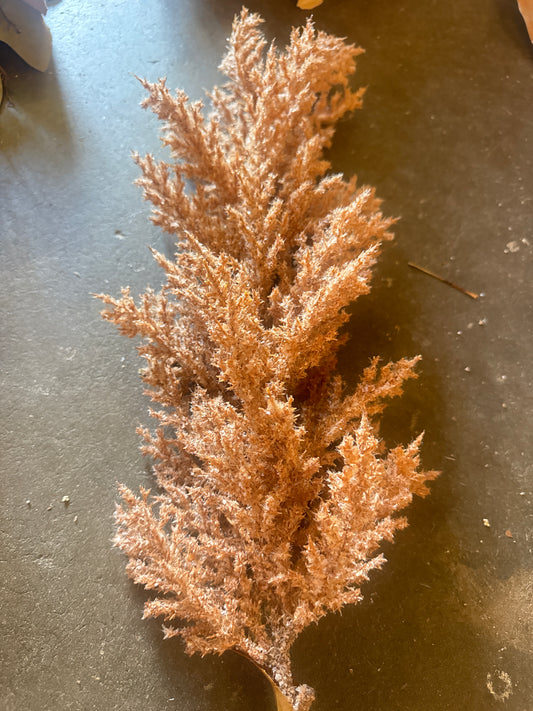 Rust pompous stem