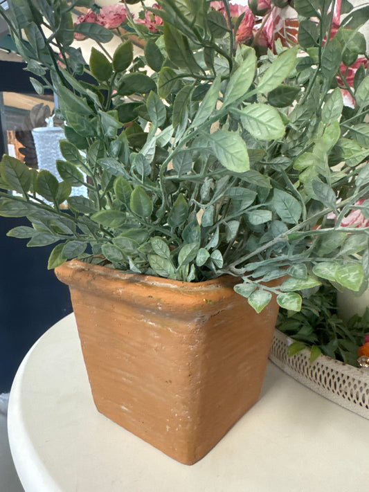 Terracotta Pot