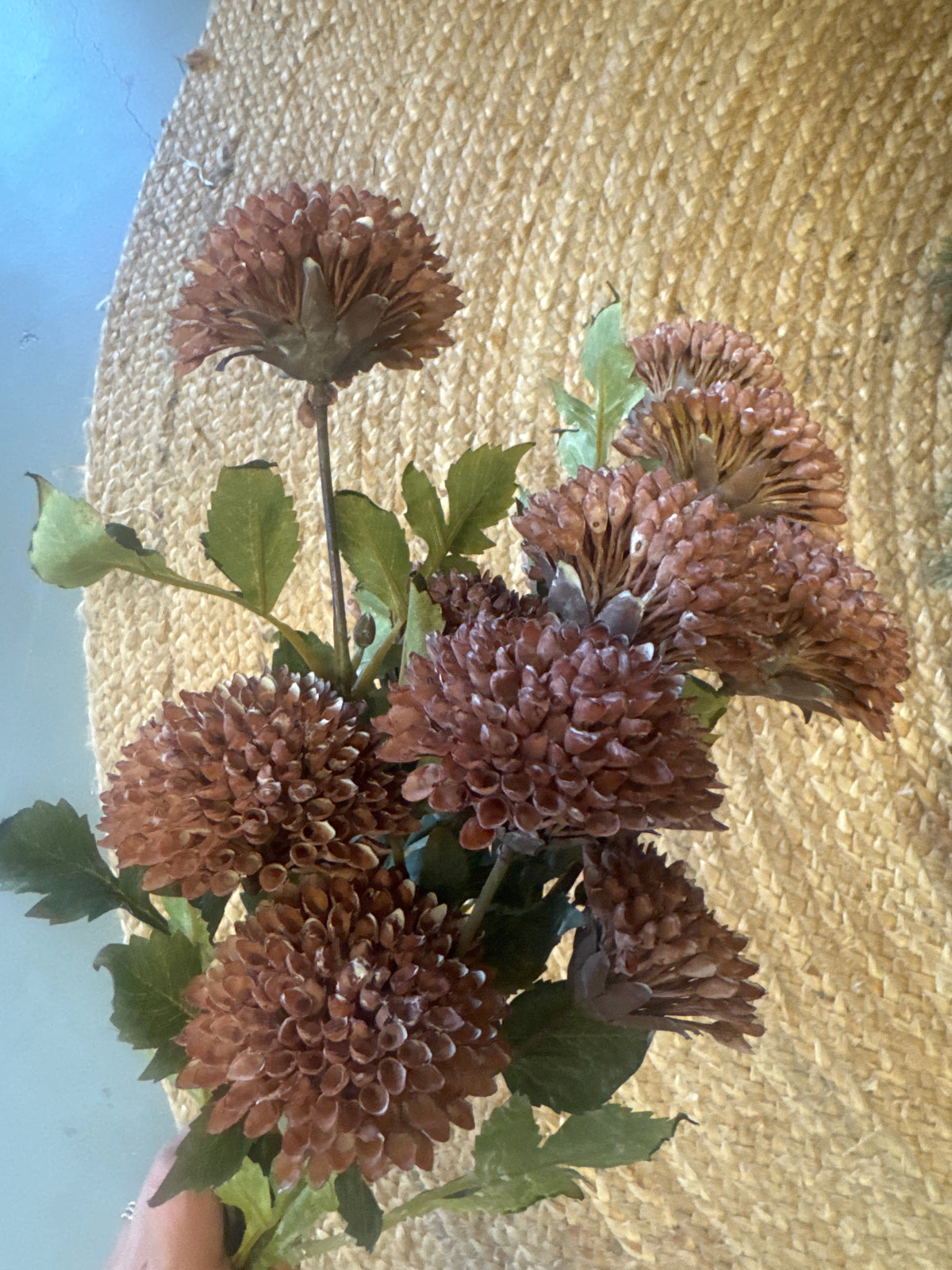 Flower Branch Stems