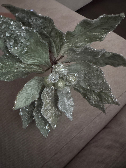 Green Sparkle Poinsettias