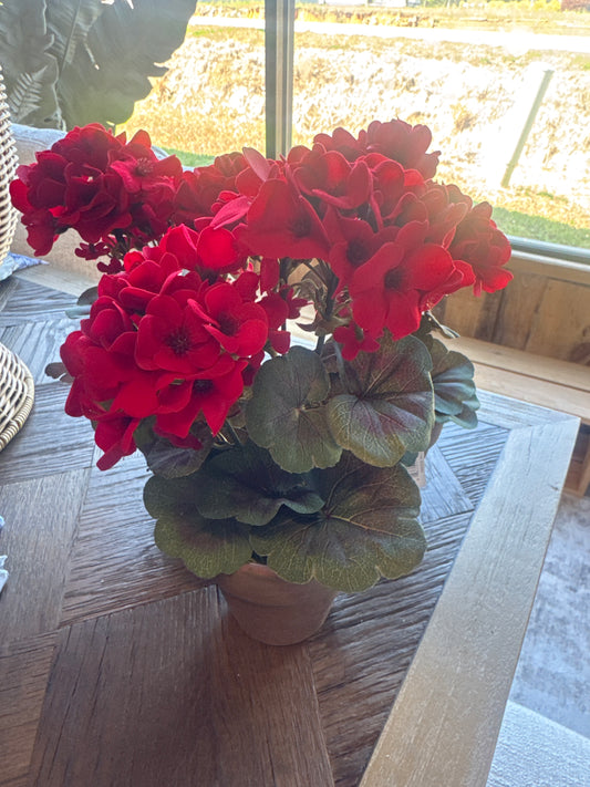 Red Geranium Pot