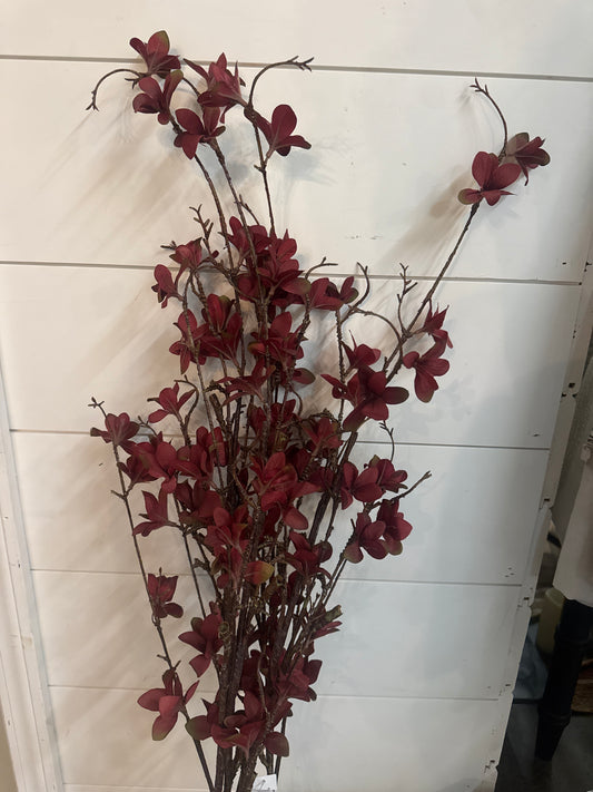 Long Burgundy Flower stem
