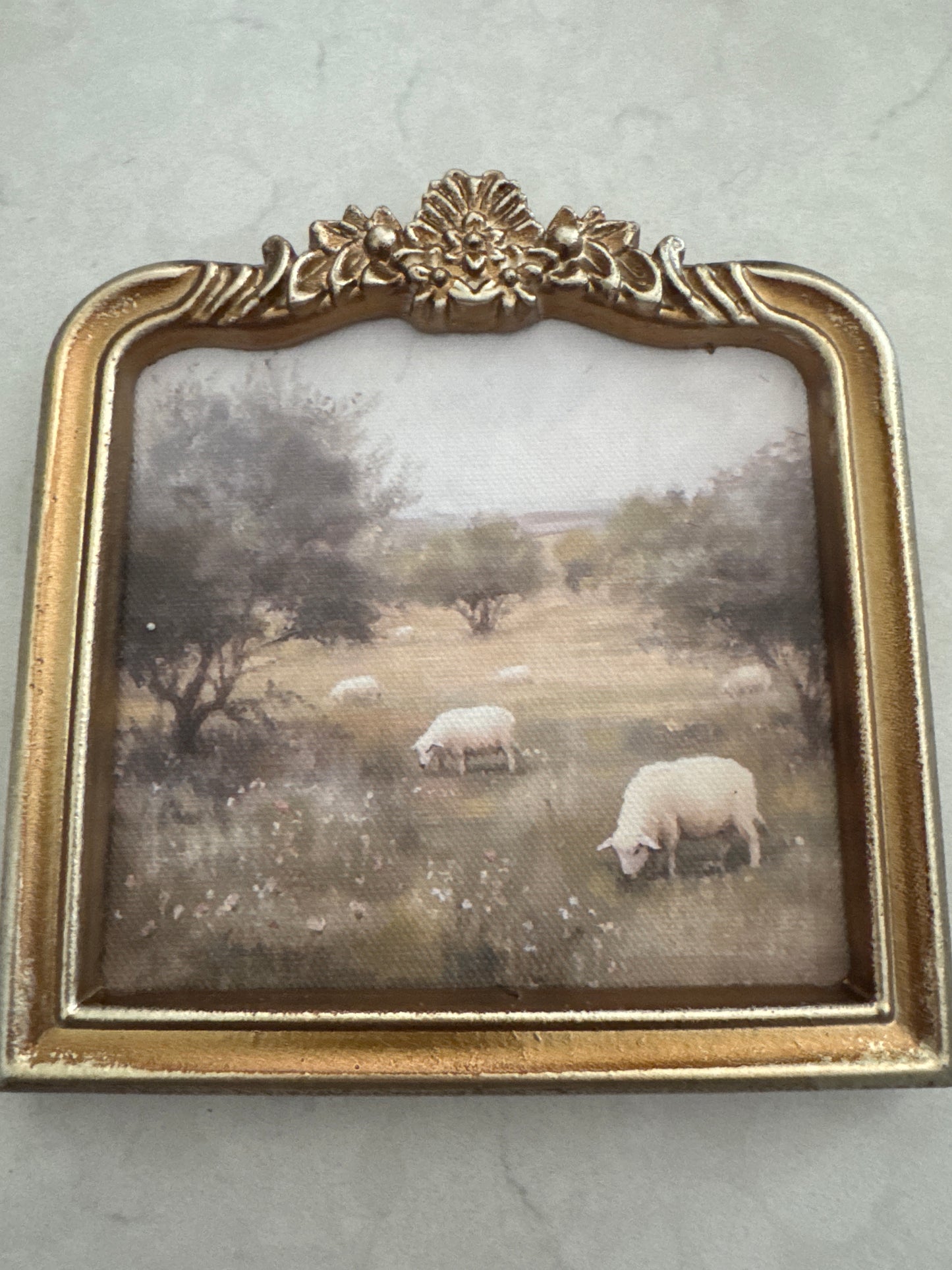 Framed Pasture
