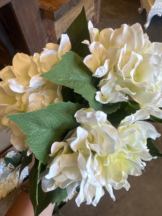 Hydrangea Bundle