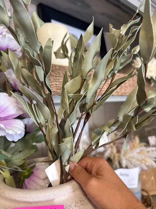 Herb Leaf Bush