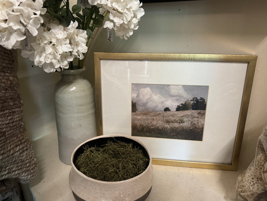 Framed Landscape
