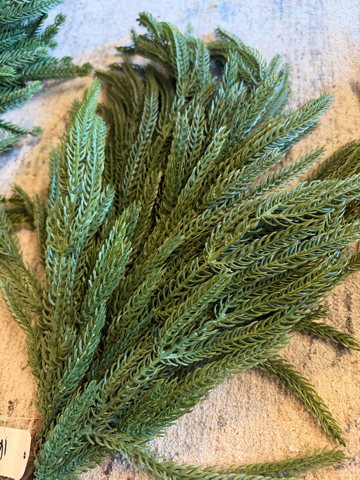 Mixed Pine Spray