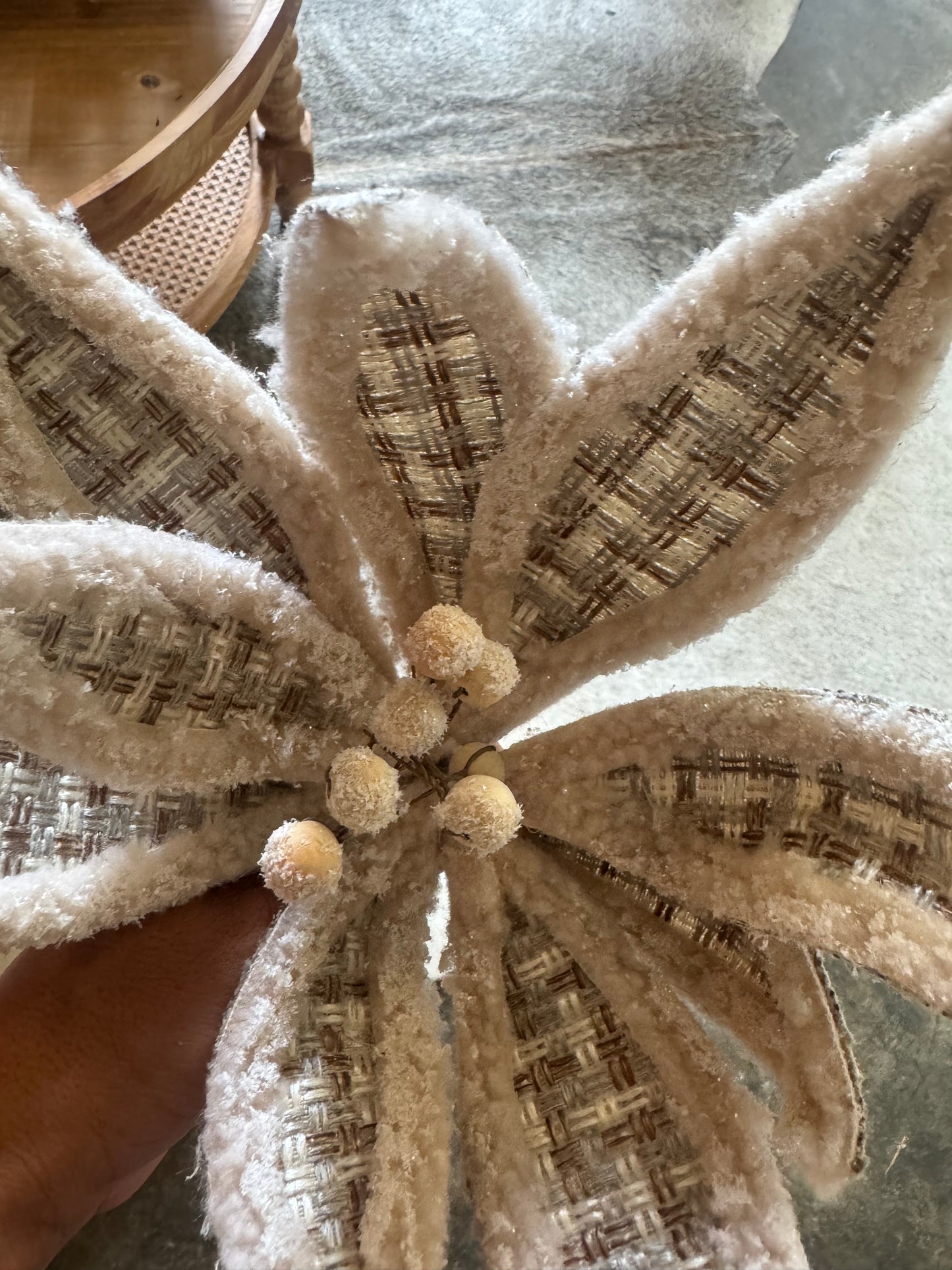 Cream Plaid Poinsetta