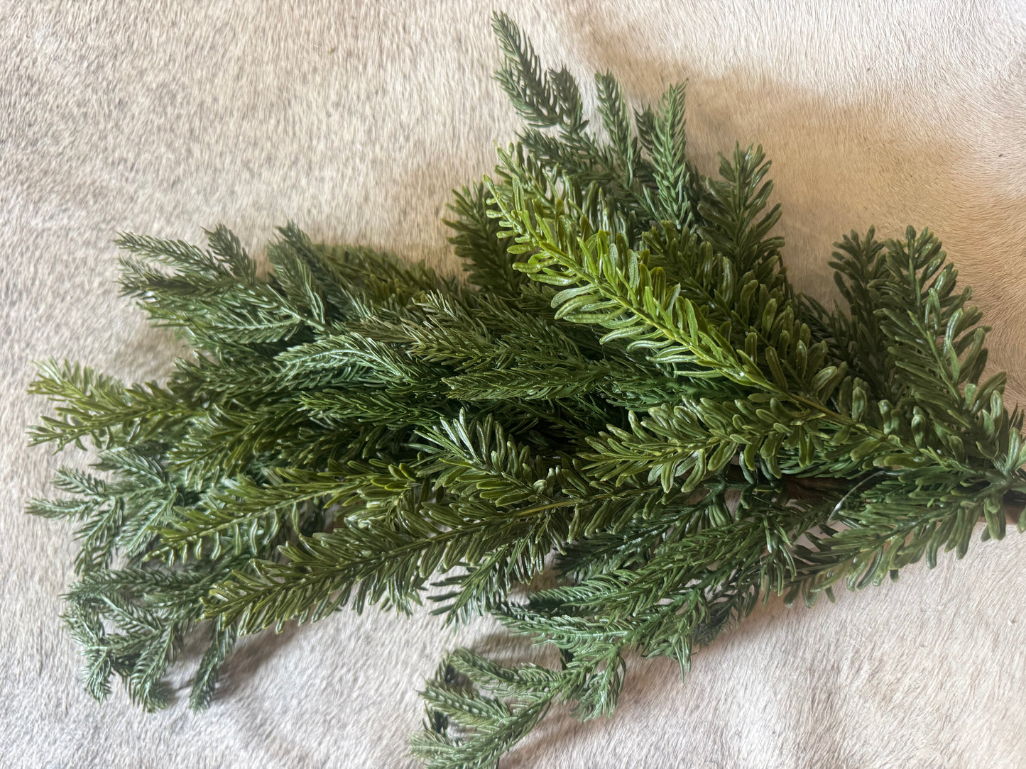 Pine Stem