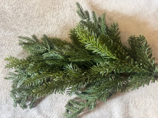 Pine Stem