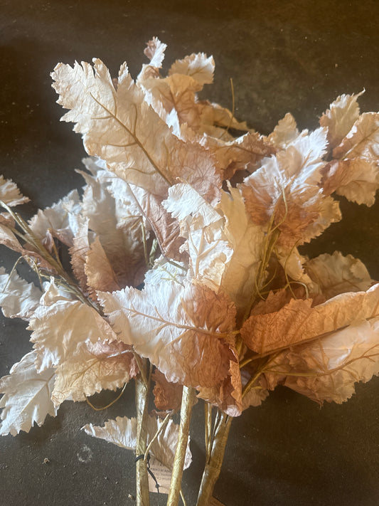 Large dried cream leaf stem