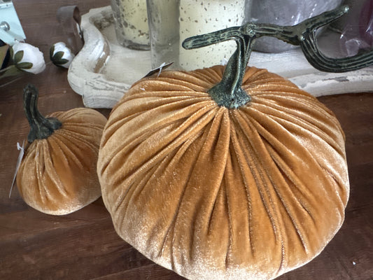 Yellow Velvet Pumpkins